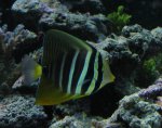 IMG_0101.JPG