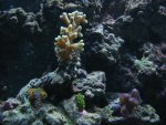 IMG_0079.JPG