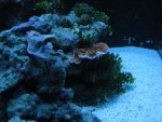 IMG_0153.JPG