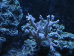IMG_0156.JPG
