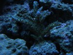 IMG_0155.JPG