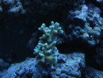 IMG_0161.JPG