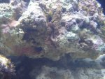 DSC01214.jpg