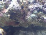 DSC01215.jpg