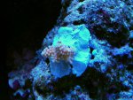 DSCN1459.jpg