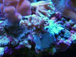 DSCN1460.jpg