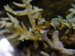 DSC00664.JPG