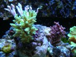 DSCN1490.jpg