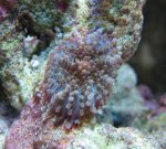 IMG_0216.JPG