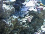 IMG_0220.JPG