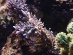DSC00670.JPG
