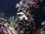 DSC00672.JPG