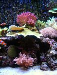DSCN1538.jpg