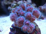 DSCN1529.jpg