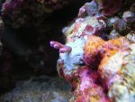 DSCN1537.jpg