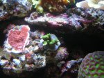 DSCN1542.jpg