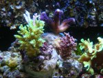 DSCN1543.jpg