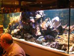 IMG_4043.JPG