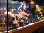 IMG_4044.JPG