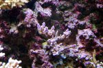 DSC_0030.jpg