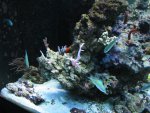 IMG_0426.JPG