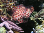 20080211 1.JPG