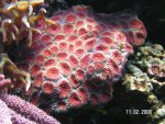 20080211 2.JPG