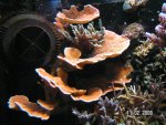PICT3081.JPG