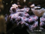 20080211 1.JPG