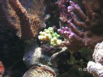 20080211 1.JPG