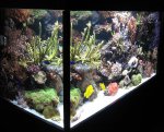 aquarium 013.JPG
