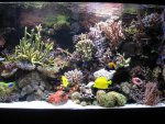 aquarium 016.JPG