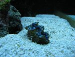 IMG_0479.JPG