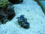 IMG_0482.JPG