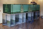 aquaopstart 005 [].JPG
