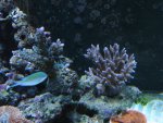 IMG_0530.JPG