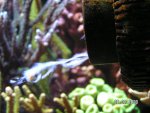 20080228 2.JPG