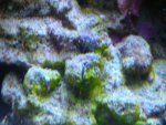 DSCN9390.jpg