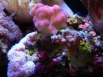 DSCN9417.jpg