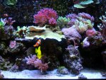 DSCN9418.jpg