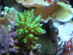 DSCN9420.jpg