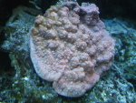 DSC00084.JPG