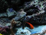 IMG_0686.JPG