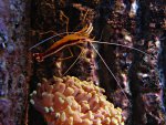 DSC01206.JPG