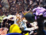DSC01142.JPG
