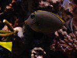 DSC01192.JPG