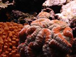 DSC01163.JPG