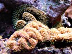 DSC01149.JPG
