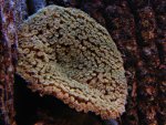 DSC01174.JPG