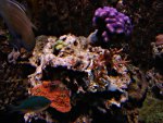 DSC01170.JPG